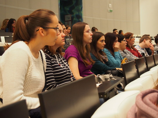 AV 2014