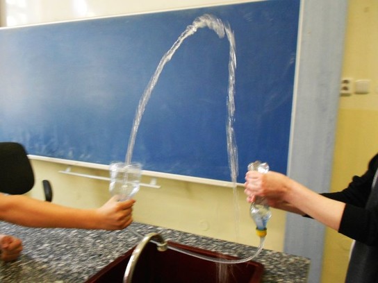 Rajčata 1