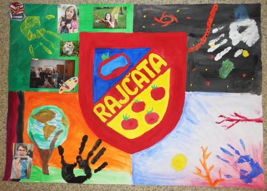 Rajčata 4