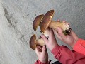 Adaptační kurz 1PB Adaptační kurz 1PB