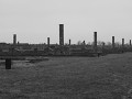 Auschwitz-Birkenau