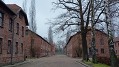 Auschwitz-Birkenau