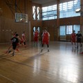 basket 8.11.16 basket 8.11.16