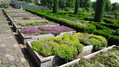 Bylinná zahrada Botanicus Bylinná zahrada Botanicus