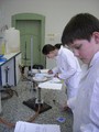 CHO_2012_4 CHO_2012_4