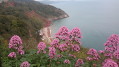 Coastal walk Coastal walk