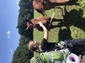 Další zvířata na cestě k cíli Další zvířata na cestě k cíli