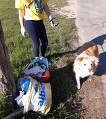 den země 12 den země 12