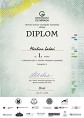 Diplom M. Laše z OK GeO 2018 Diplom M. Laše z OK GeO 2018