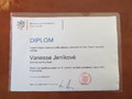 Diplom Diplom