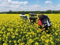 dofe cvičná 2 dofe cvičná 2