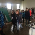 ekoden 2016 ekoden 2016