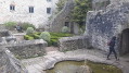 Elisabeth garden Elisabeth garden