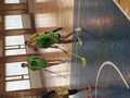 Florbal 19.11.2015 Florbal 19.11.2015