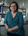 doc. RNDr. Jitka Forstová, CSc.