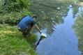 Hydrologie - Ostrov Hydrologie - Ostrov
