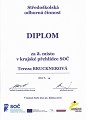 KK SOČ 2019 - Diplom Terezy Brucknerové KK SOČ 2019 - Diplom Terezy Brucknerové