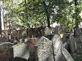 Klub moderní historie Židovské muzeum Klub moderní historie Židovské muzeum