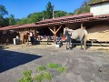 koňská expedice 2021 koňská expedice 2021