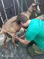 koňská expedice 2021 koňská expedice 2021