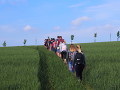 Krásesnko BiS 2017 Krásesnko BiS 2017