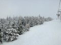 LVVZ č.9, 3. - 10. 3. 2017 LVVZ č.9, 3. - 10. 3. 2017