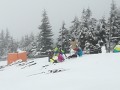 LVVZ č.9, 3. - 10. 3. 2017 LVVZ č.9, 3. - 10. 3. 2017