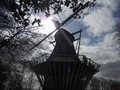 Mlýn v Keukenhof Mlýn v Keukenhof