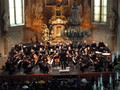 orchestr FOK orchestr FOK