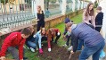 Projekt Krokus Projekt Krokus