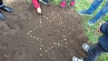 Projekt Krokus Projekt Krokus
