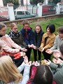 Projekt Krokus Projekt Krokus