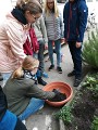 Projekt Krokus Projekt Krokus