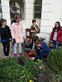 Projekt Krokus Projekt Krokus
