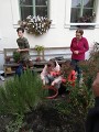 Projekt Krokus Projekt Krokus