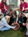 Projekt Krokus Projekt Krokus