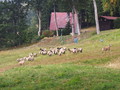 rsg Rokytnice říjen 2015 rsg Rokytnice říjen 2015