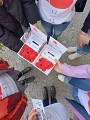 sbírka Vlčí máky 2024 sbírka Vlčí máky 2024