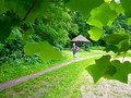štafeta 2013 štafeta 2013