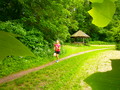 štafeta 2013 štafeta 2013