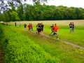 štafeta 2013 štafeta 2013