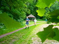 štafeta 2013 štafeta 2013