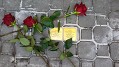 Stolpersteine II Stolpersteine II