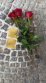 Stolpersteine II Stolpersteine II