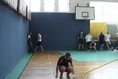 sv12 sv12