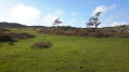 Výlet do NP Dartmoor Výlet do NP Dartmoor