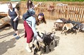 ZOO Chleby ZOO Chleby