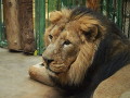 ZOO Praha 2018 ZOO Praha 2018