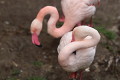 ZOO Praha 2023 ZOO Praha 2023