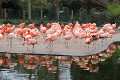 ZOO Praha 2023 ZOO Praha 2023